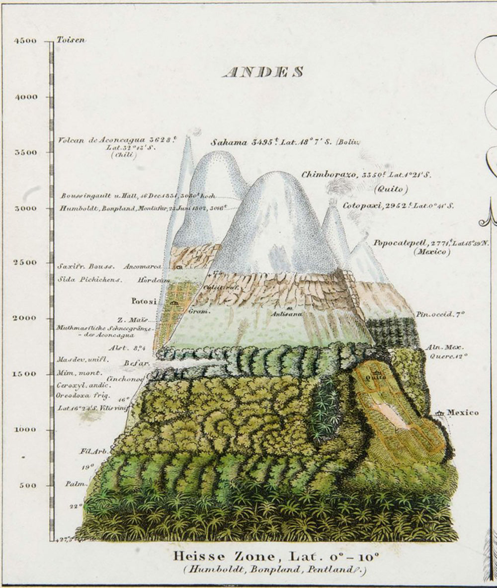 Andes